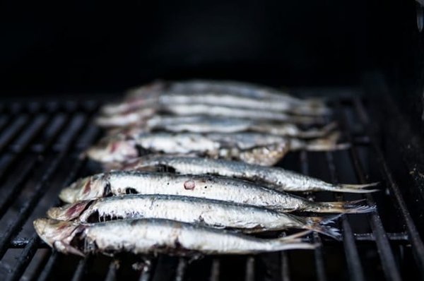 Recettes incontournables de poisson à la plancha pour régaler vos convives